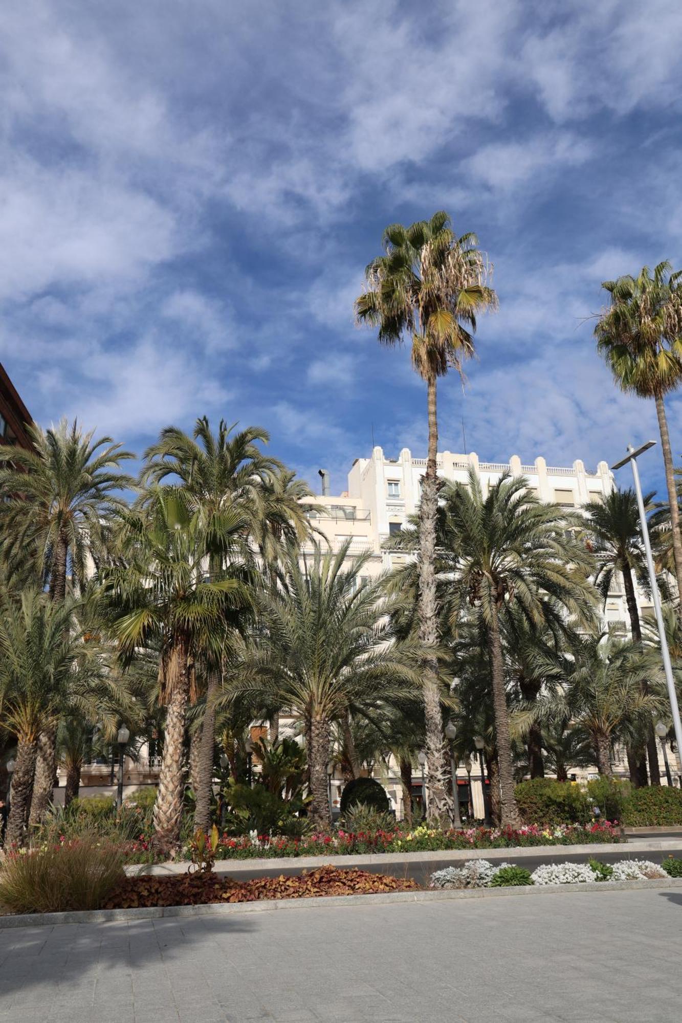 Alicantan Vital Experience Alicante Exterior photo